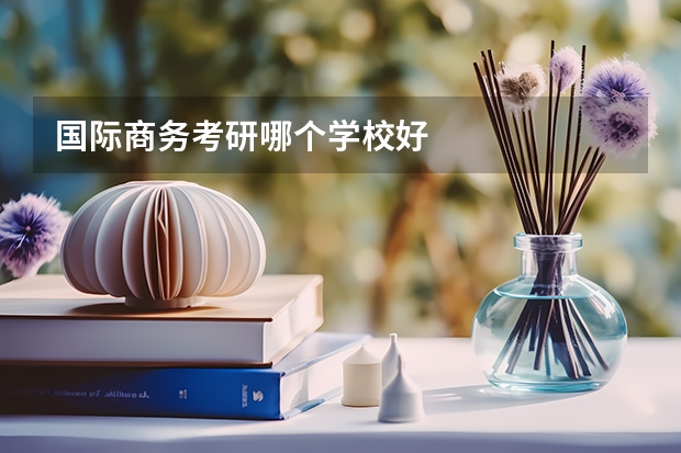 国际商务考研哪个学校好