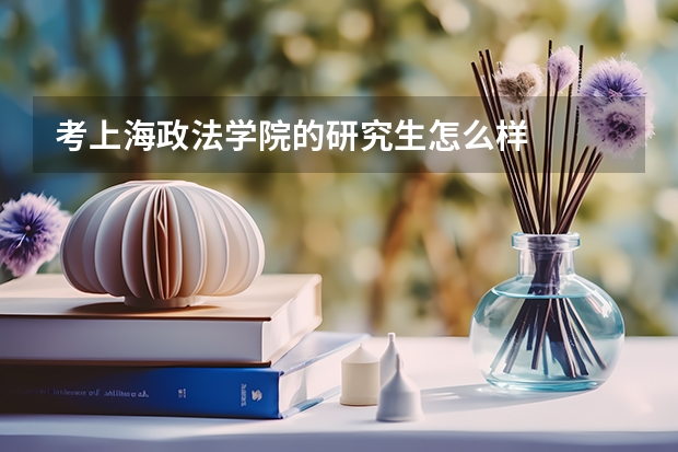 考上海政法学院的研究生怎么样