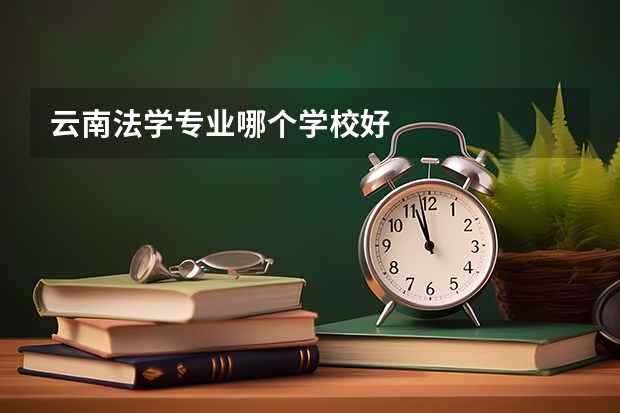 云南法学专业哪个学校好
