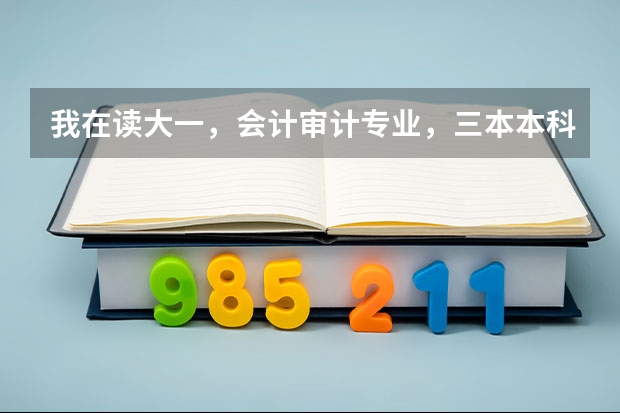 我在读大一,会计审计专业,三本本科学校,想出国考研,建议去哪个国家?最好是说英语的国家,什么学校?