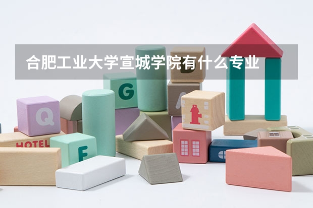 合肥工业大学宣城学院有什么专业