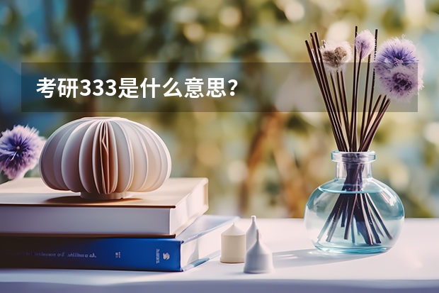 考研333是什么意思？