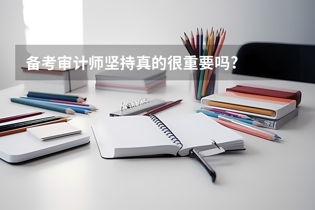 备考审计师坚持真的很重要吗?