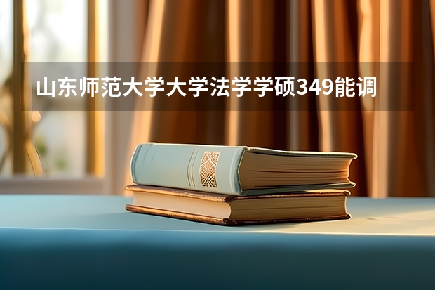 山东师范大学大学法学学硕349能调剂吗