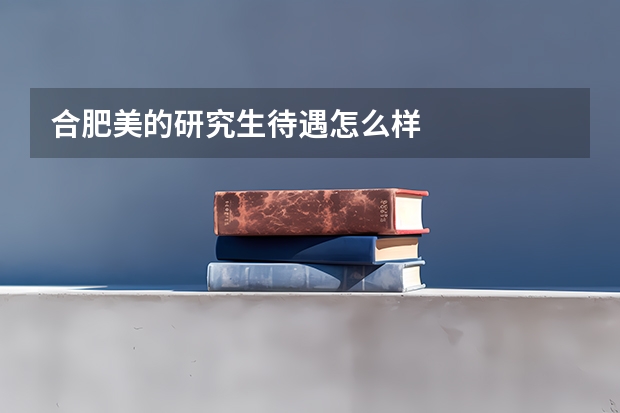合肥美的研究生待遇怎么样