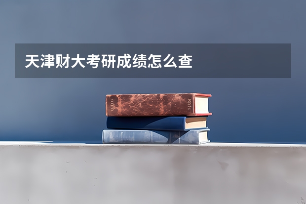 天津财大考研成绩怎么查