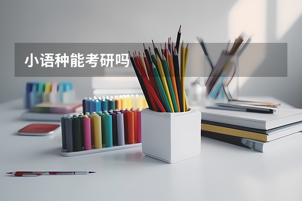 小语种能考研吗