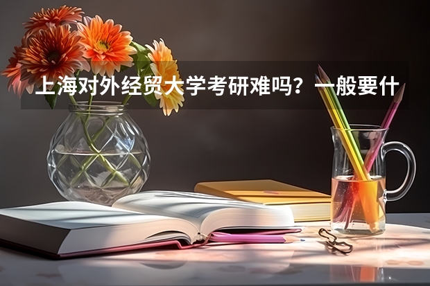上海对外经贸大学考研难吗?一般要什么水平才可以进入?