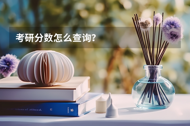考研分数怎么查询?