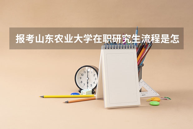 报考山东农业大学在职研究生流程是怎么样的?