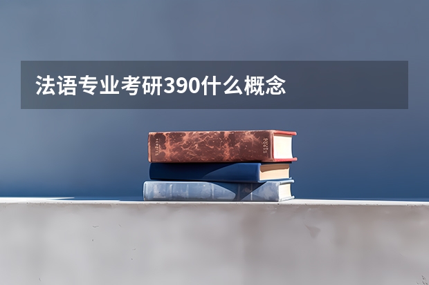 法语专业考研390什么概念