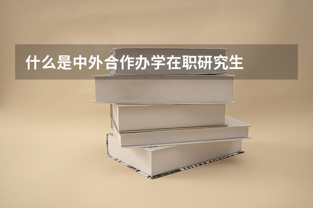 什么是中外合作办学在职研究生