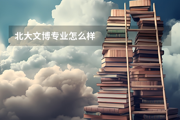 北大文博专业怎么样