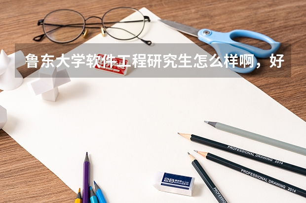 鲁东大学软件工程研究生怎么样啊,好考吗