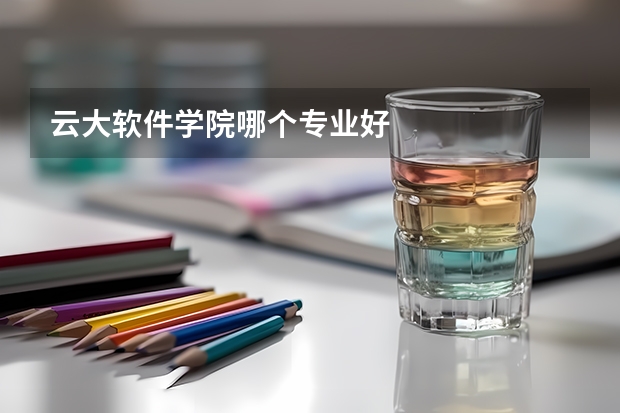 云大软件学院哪个专业好