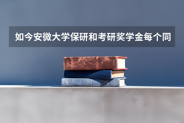 如今安微大学保研和考研奖学金每个同学是一样的吗