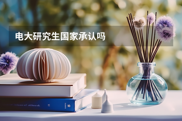 电大研究生国家承认吗