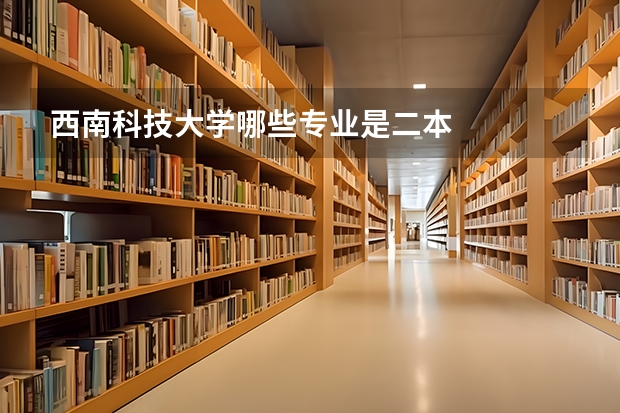 西南科技大学哪些专业是二本