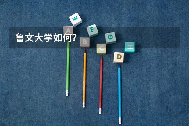 鲁文大学如何？
