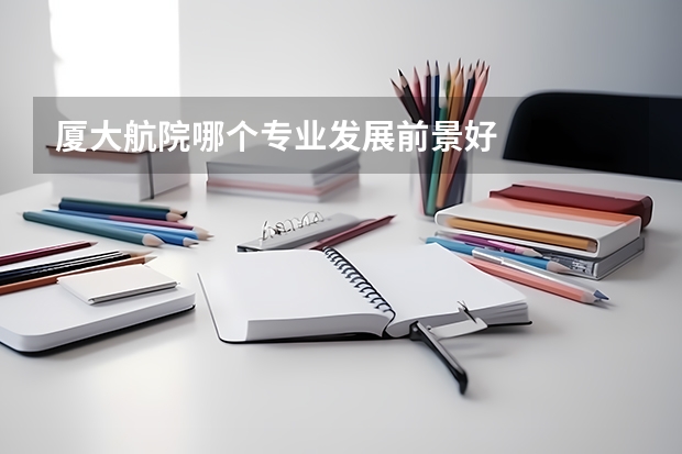 厦大航院哪个专业发展前景好