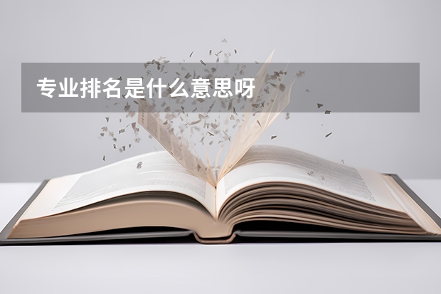 专业排名是什么意思呀