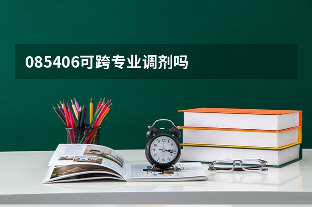 085406可跨专业调剂吗