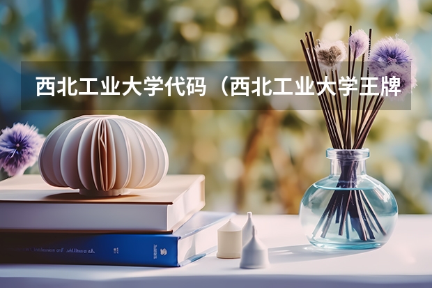 西北工业大学代码(西北工业大学王牌专业排名)