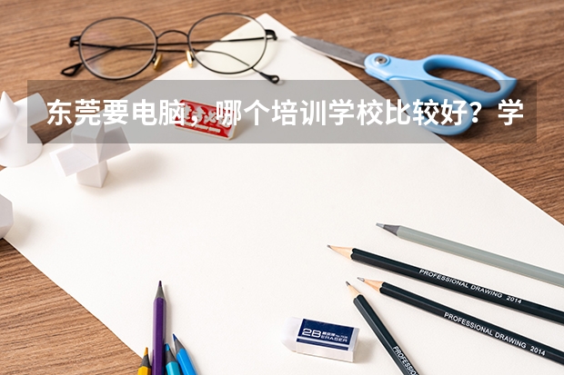 东莞要电脑，哪个培训学校比较好？学编程专业点的？